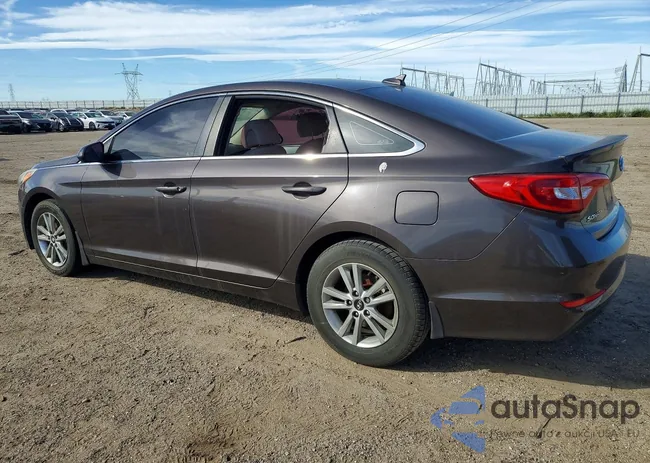 5NPE24AF5FH181215: 78052805