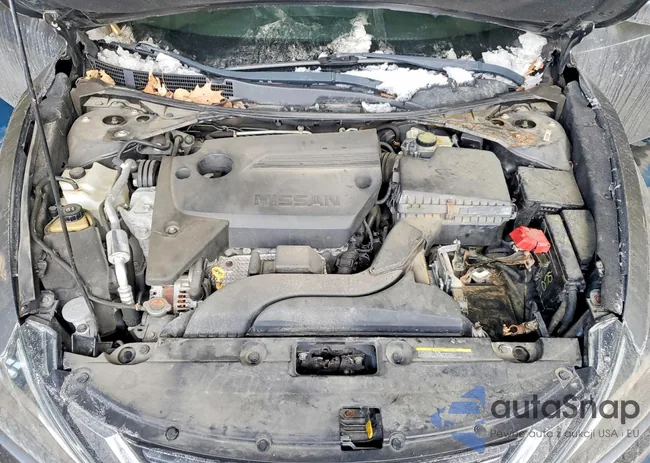 1N4AL3APXGN393159: 75037885