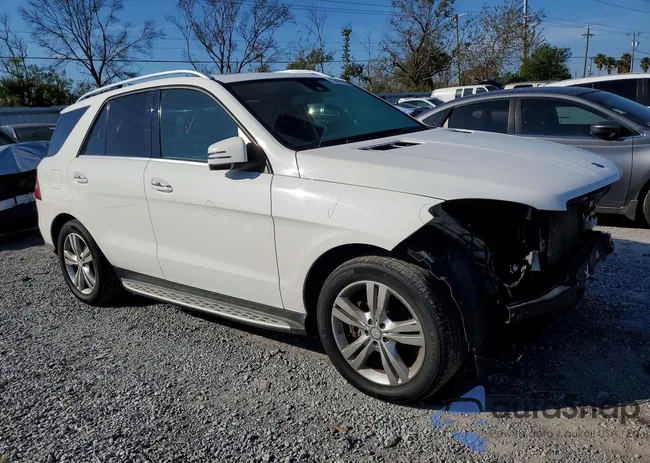 4JGDA5HB8FA495838: 75657085