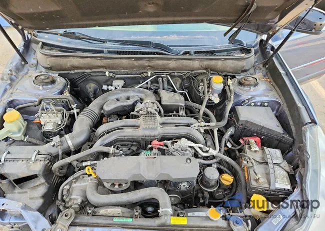 4S4BRCLC3E3259766: 77435065