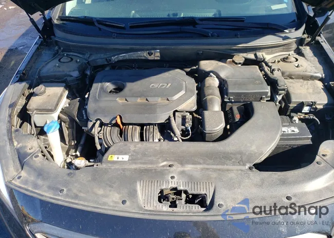 5NPE34AF7GH378501: 79048765