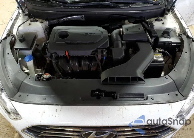 5NPE24AF9KH732353: 77945095