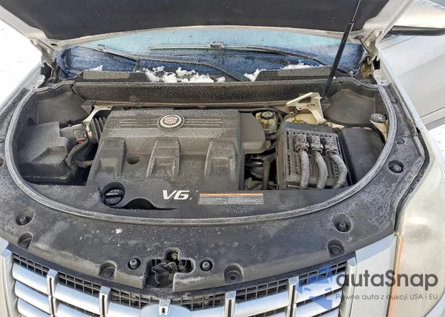 3GYFNCE3XFS610466: 75613335