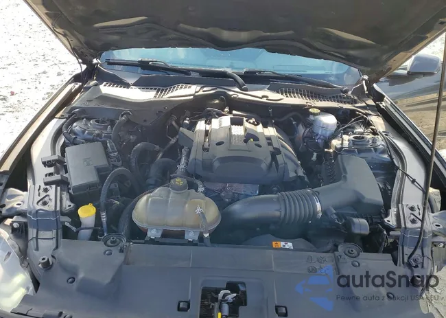 1FA6P8TH4J5106452: 78237495