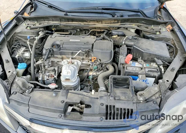 1HGCT1B31GA008843: 74991515