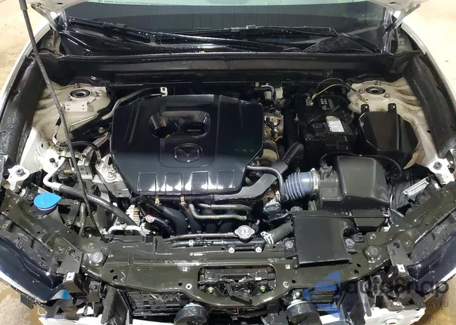 3MVDMBCM2RM651753: 77160405