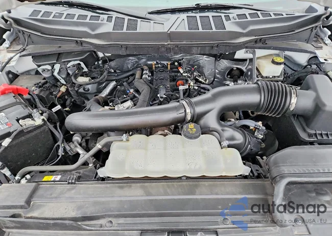 1FTFW1P81NKE09436: 79043915