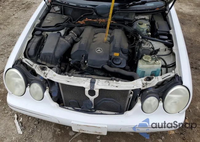 WDBJF82J8YX033739: 78776745