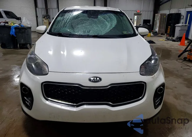 KNDPMCAC8J7351969: 78162805