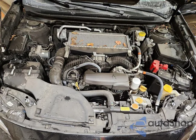 4S4BTGPD8N3283721: 79381185