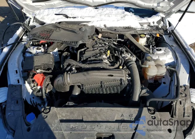 1FAGP8UH7R5121025: 76907855