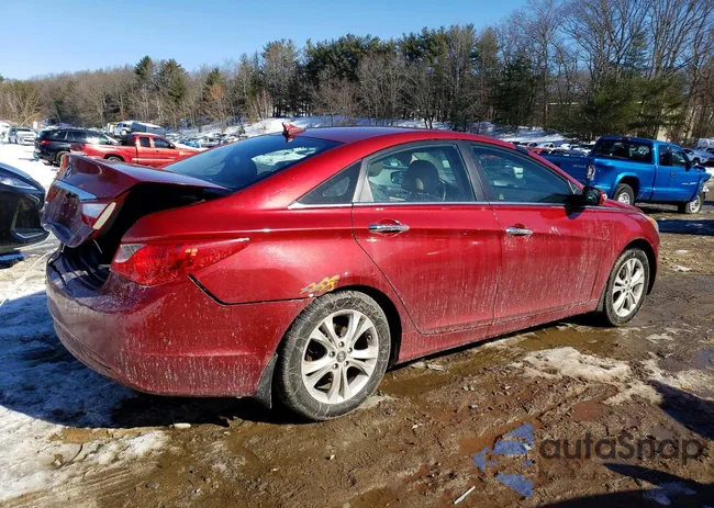 5NPEC4AC5BH294465: 79341335