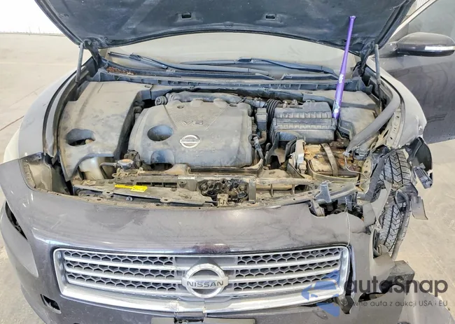 1N4AA5AP9BC841073: 77493885