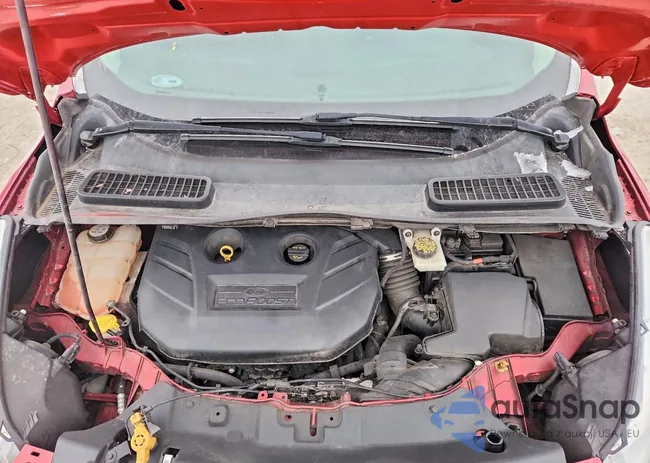 1FMCU0H98DUB93688: 75039425