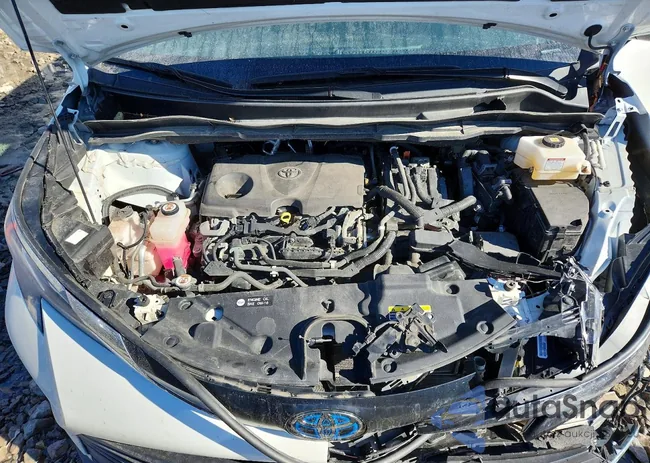 5TDYRKEC8MS056004: 77365475