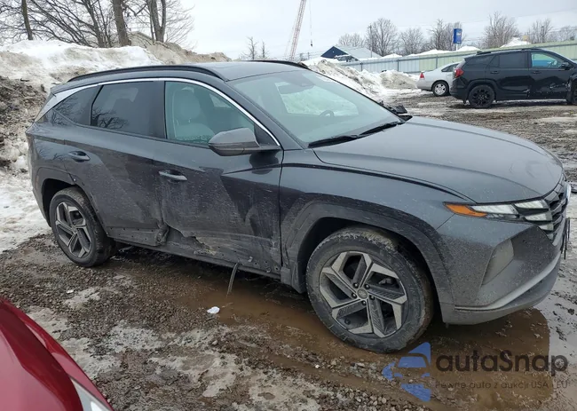 5NMJFCAE1PH180291: 77949885