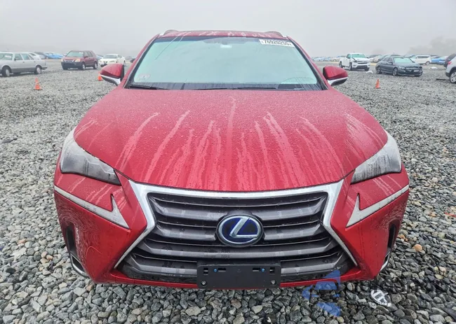 JTJBJRBZXF2018733: 76920255