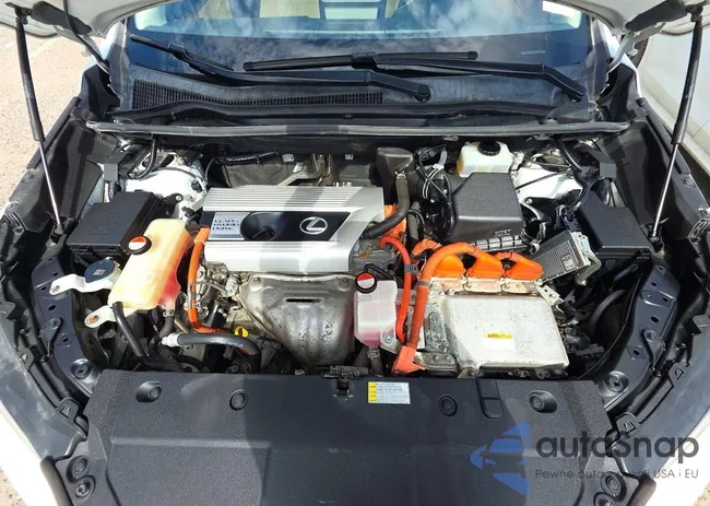 JTJBJRBZ5G2031987: 74512525