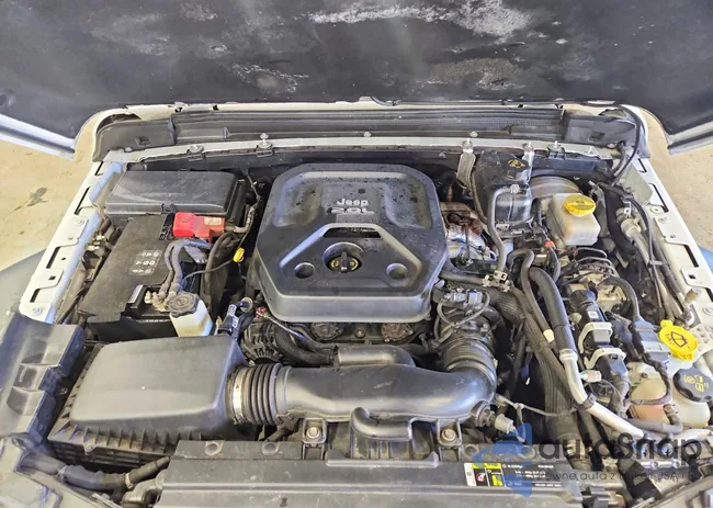 1C4HJXDN6LW226222: 79540255