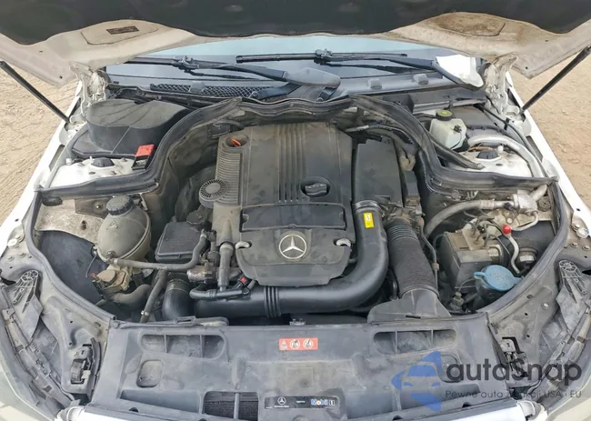 WDDGF4HB2DR246436: 77093965