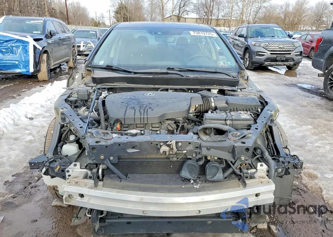 19UUB2F50GA005537: 75810725