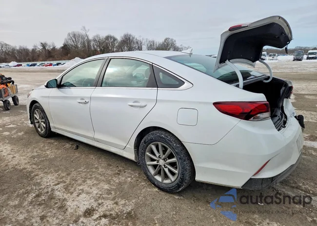 5NPE24AF4KH786319: 73910905