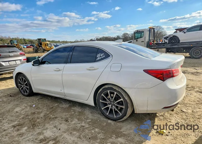 19UUB2F36GA000955: 77164645