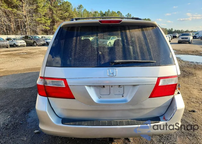 5FNRL38775B013371: 75295975