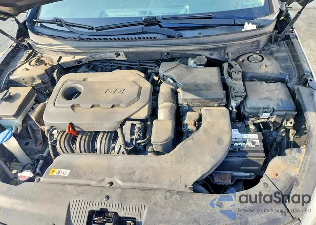 5NPE24AF4GH309879: 77756345