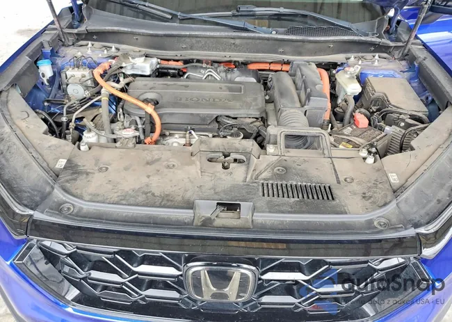 7FARS5H54PE002901: 79094065