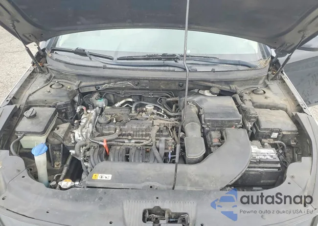 5NPE24AF2GH398481: 75008885