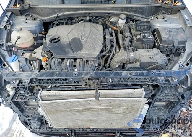 KNDPU3AF8P7067082: 75185585