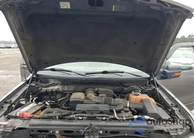 1FTFW1EV7AFC76919: 75973985