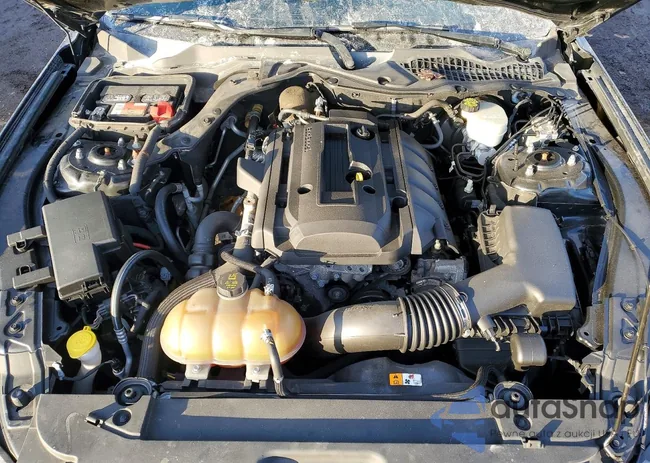 1FA6P8TH4G5325694: 76906285