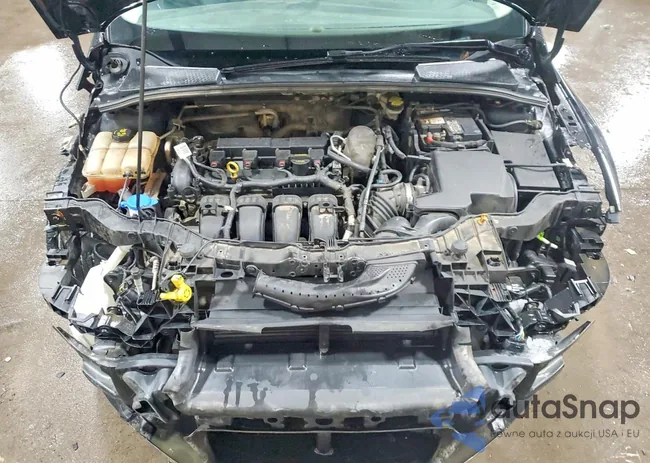 1FADP3F2XEL330313: 75756505