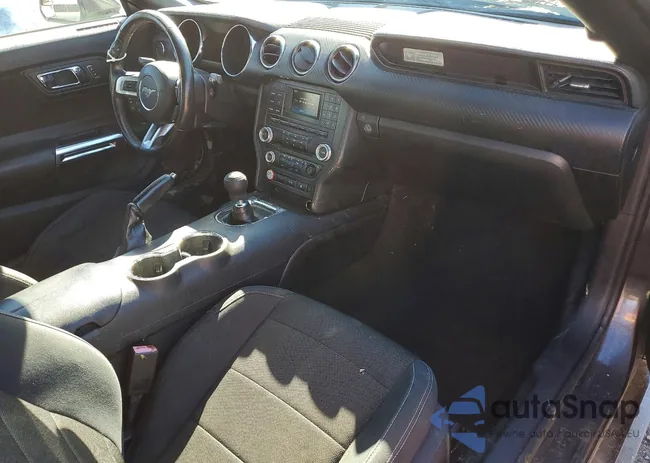 1FA6P8AM7G5218722: 77631345