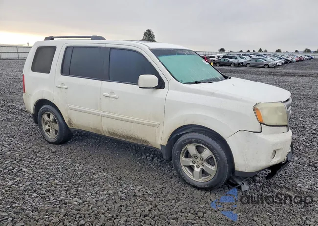 5FNYF48519B033659: 74910055