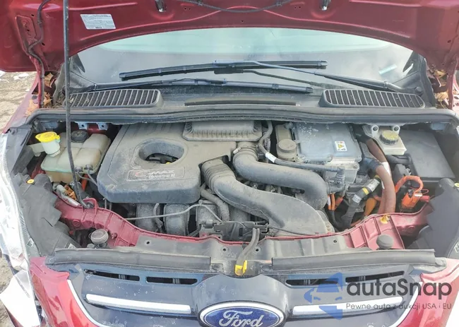 1FADP5CUXFL123715: 76053255