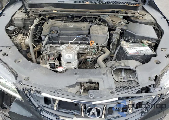 19UUB1F39GA005299: 77719125