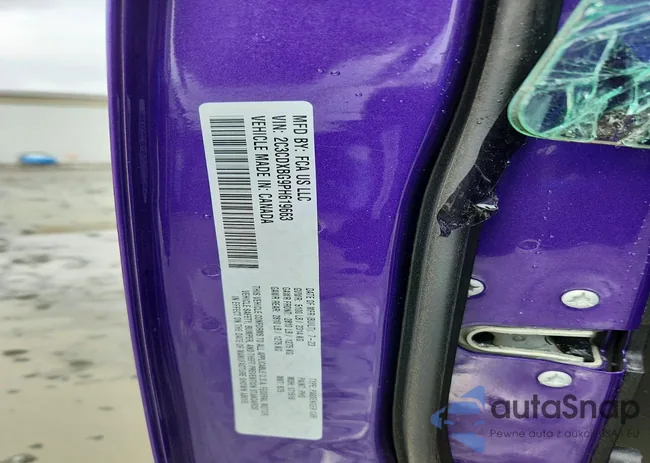 2C3CDXBG9PH619663: 77521825