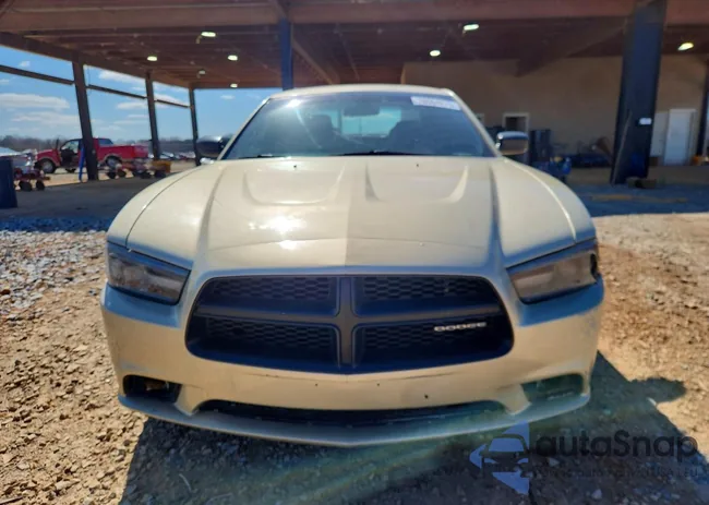 2C3CDXAT2DH619644: 78084975