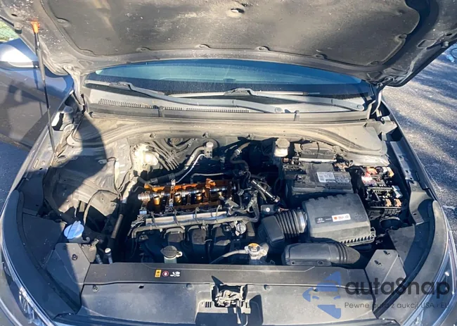 5NPD84LF6KH443843: 78741915