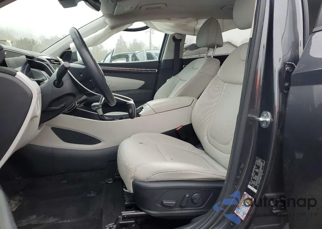 5NMJFCAE2PH252390: 77407545