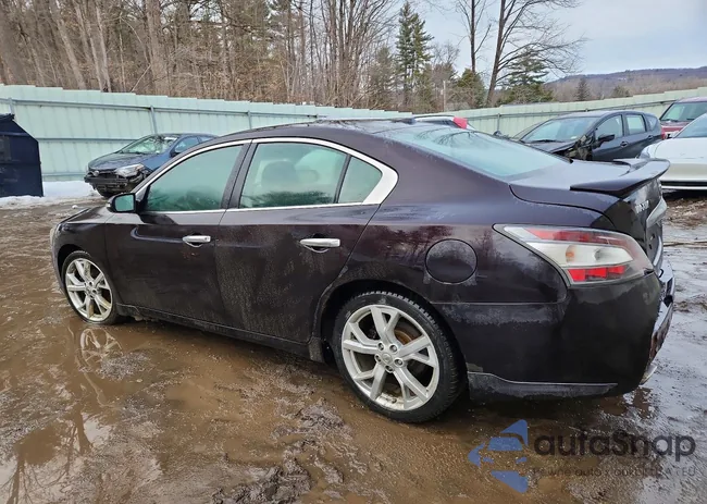 1N4AA5AP2CC830045: 77485375