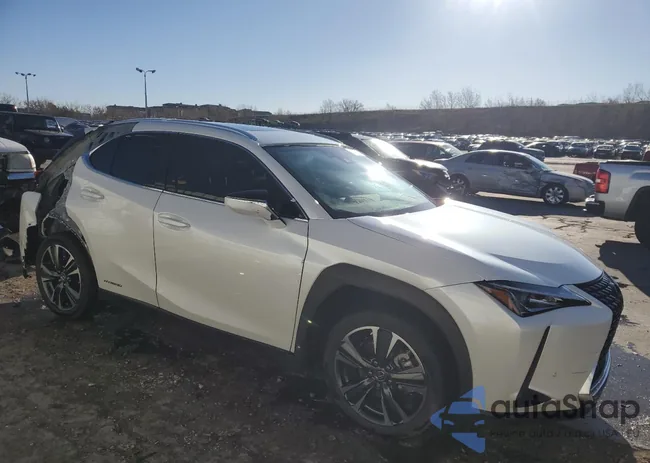 JTHP9JBH4M2038336: 49616235