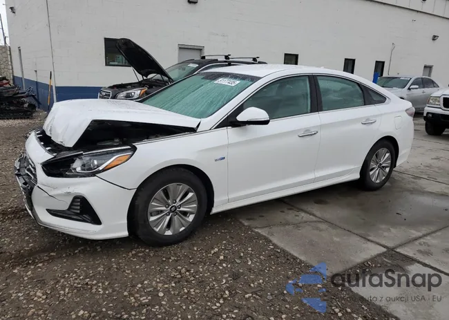 KMHE24L33KA091688: 51177435