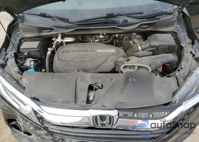 5FNRL6H92JB024856: 50602675