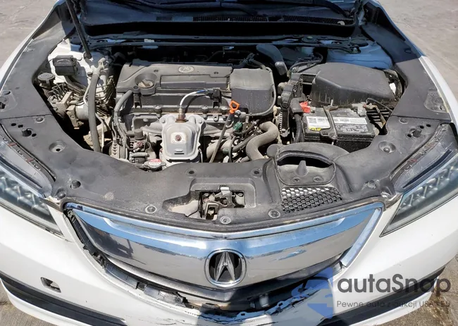 19UUB1F32GA008089: 49643095