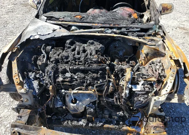 1N4BL21E89N431682: 53745165