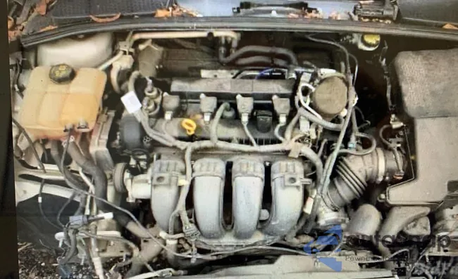 1FADP3F26FL317477: 51134215